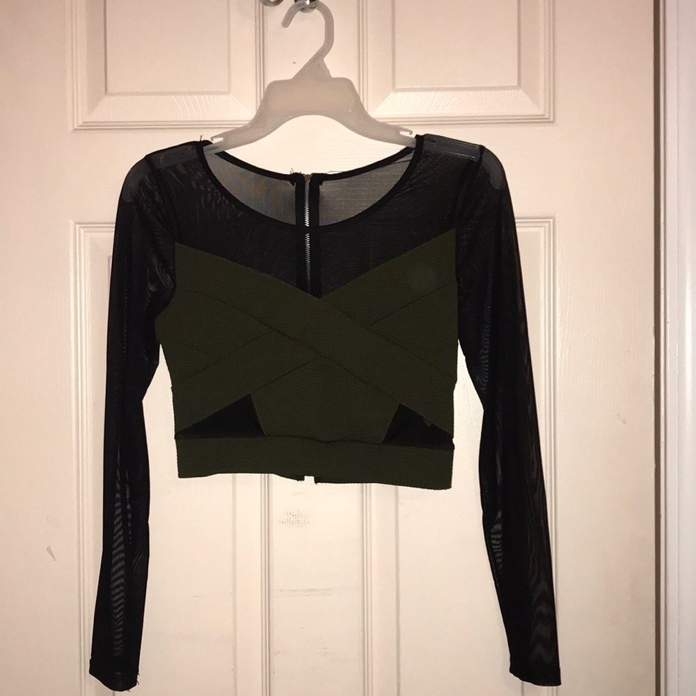 Charolette Russe Mesh Crop Top
